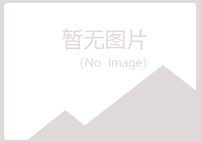 惠水县雪青化学有限公司